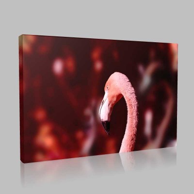 Yalnız Bir Flamingo Kanvas Tablo